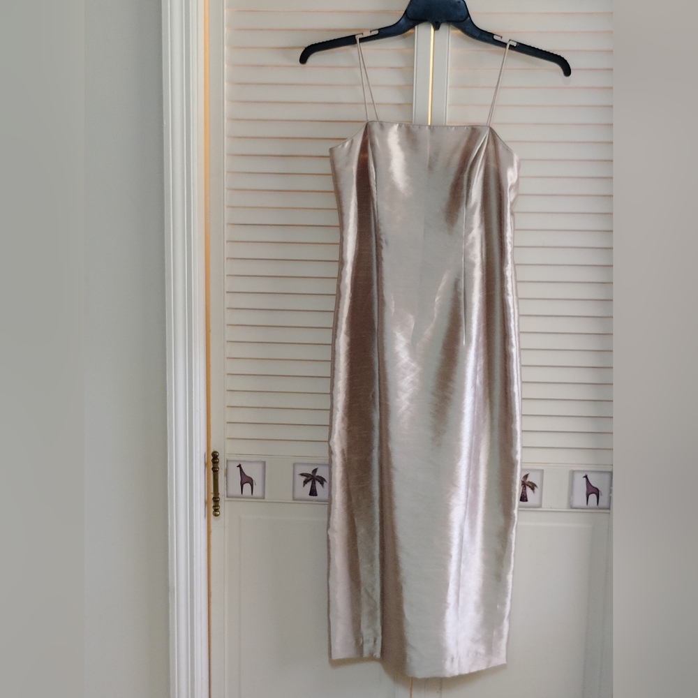Alex Evenings Champagne Embroidered Jacket & Dress Set - Picture 4 of 6